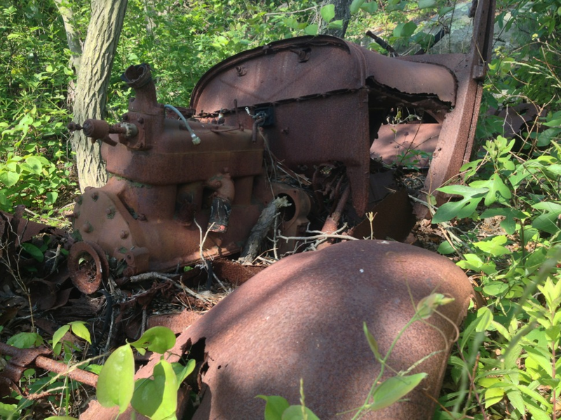 Illustration for article titled 27 Radiant Photos Of Rust